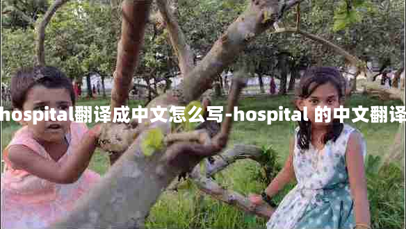 hospital翻译成中文怎么写-hospital 的中文翻译