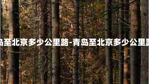 青岛至北京多少公里路-青岛至北京多少公里路线