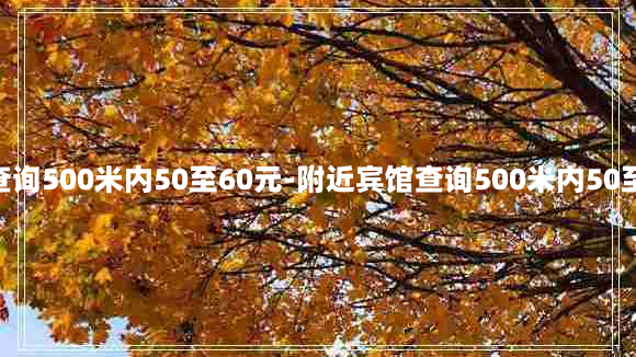 附近宾馆查询500米内50至60元-附近宾馆查询500米内50至60元蚌埠