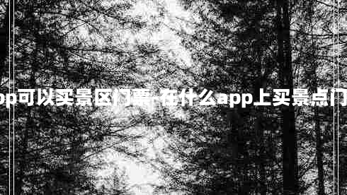 什么app可以买景区门票-在什么app上买景点门票便宜