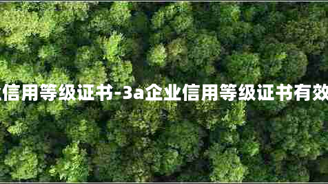 3a企业信用等级证书-3a企业信用等级证书有效期几年