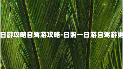 日照一日游攻略自驾游攻略-日照一日游自驾游更佳路线