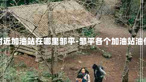 附近加油站在哪里邹平-邹平各个加油站油价