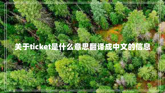 关于ticket是什么意思翻译成中文的信息