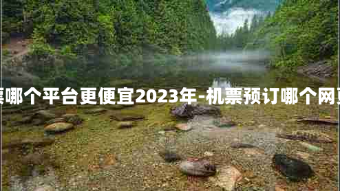 订机票哪个平台更便宜2023年-机票预订哪个网更便宜