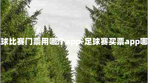 买足球比赛门票用哪个app-足球赛买票app哪个好