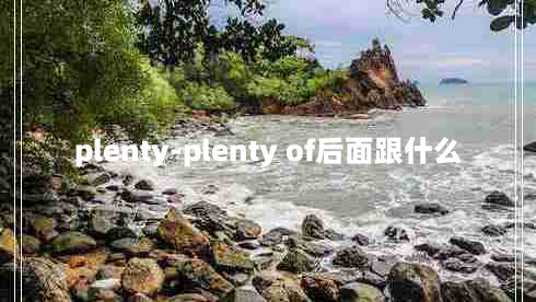 plenty-plenty of后面跟什么