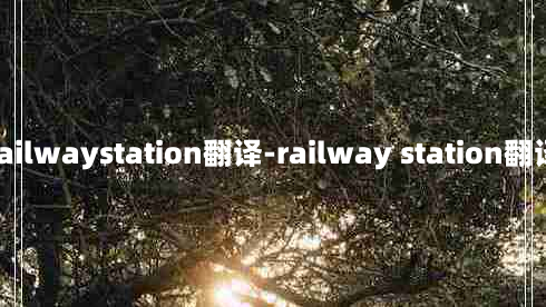 railwaystation翻译-railway station翻译