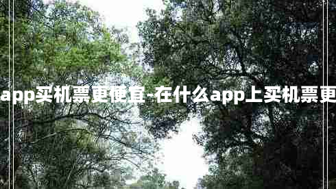 什么app买机票更便宜-在什么app上买机票更便宜