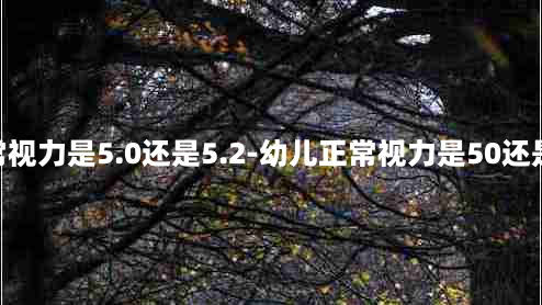 正常视力是5.0还是5.2-幼儿正常视力是50还是52