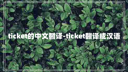 ticket的中文翻译-ticket翻译成汉语