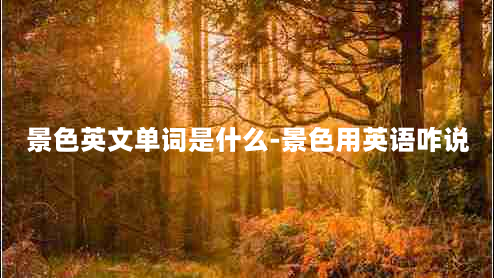 景色英文单词是什么-景色用英语咋说