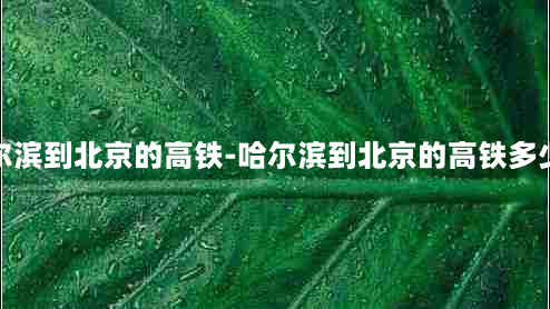 哈尔滨到北京的高铁-哈尔滨到北京的高铁多少钱