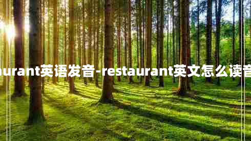 restaurant英语发音-restaurant英文怎么读音发音