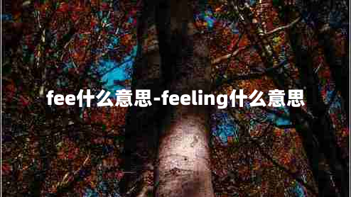 fee什么意思-feeling什么意思