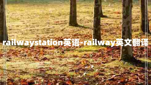 railwaystation英语-railway英文翻译