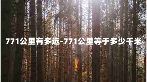 771公里有多远-771公里等于多少千米