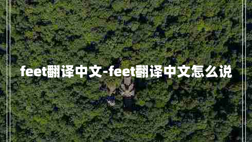 feet翻译中文-feet翻译中文怎么说