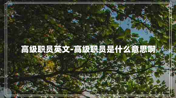 高级职员英文-高级职员是什么意思啊