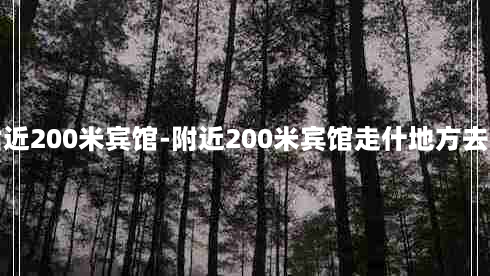 附近200米宾馆-附近200米宾馆走什地方去呀