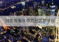 河北省衡水市武邑武罗学校(河北省衡水市武邑县魏敏杰)