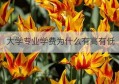 大学专业学费为什么有高有低(澳门科技大学研究生申请条件及学费)