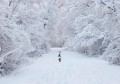 大雪节气一定会下雪吗(大班大雪节气教案)