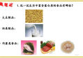 玉米藕粉的功效与作用禁忌"(陈皮的功效与作用及禁忌)