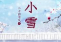 小雪节气吃什么食物(小雪节气吃什么食物视频)