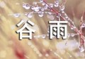 谷雨节气这天吃什么(谷雨节气吃什么)