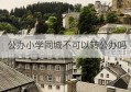 公办小学同城不可以转公办吗(南山区公办小学共有几所是公办的)