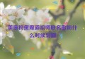 美康粉黛魔道祖师联名散粉什么时候到期