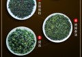 小叶茶的功效作用及禁忌"(玉竹的功效与作用及禁忌)