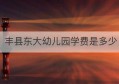 丰县东大幼儿园学费是多少(丰县东大幼儿园怎么样)