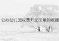 公办幼儿园收费开无印章的收据(公办幼儿园的收费收据名字)