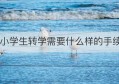 小学生转学需要什么样的手续(大学转学需要什么手续 条件是什么)