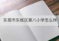 东莞市东城区第八小学怎么样(东莞东城第八小学招生简章)