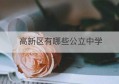 高新区有哪些公立中学(高新区的私立中学有哪些)