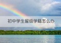 初中学生留级学籍怎么办(初中学生留级学籍怎么办理手续)