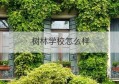 树林学校怎么样(亳州树林学校2020)