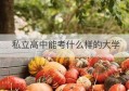 私立高中能考什么样的大学(私立高中可以考哪些大学)