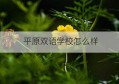 平原双语学校怎么样(德州平原双语学校怎么样)