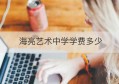 海亮艺术中学学费多少(研究生学费一年多少)