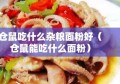 仓鼠吃什么杂粮面粉好（仓鼠能吃什么面粉）