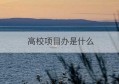 高校项目办是什么(高校项目申报是什么工作)