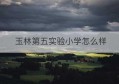 玉林第五实验小学怎么样(玉林玉州区第五实验小学怎么样)