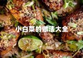 小白菜的做法大全