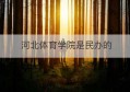 河北体育学院是民办的(河北体育学院是大学吗)