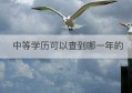 中等学历可以查到哪一年的(中等专业学校学历怎么查)