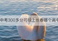 中考300多分可以上长春哪个高中(长春中考三百多分能去高中吗)